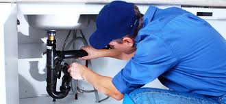 Best Plumbing System Maintenance  in Shawneeland, VA